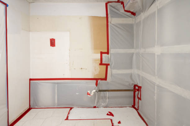 Best Commercial Mold Inspection  in Old Brookville, NY